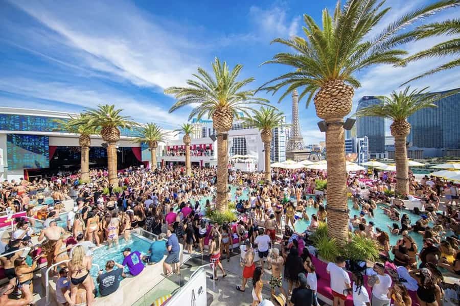 #1 Vegas Pool Crawl with Party Bus, Free Drinks & VIP Entry - The 4-Hour Flow: From Check-In to Sunset