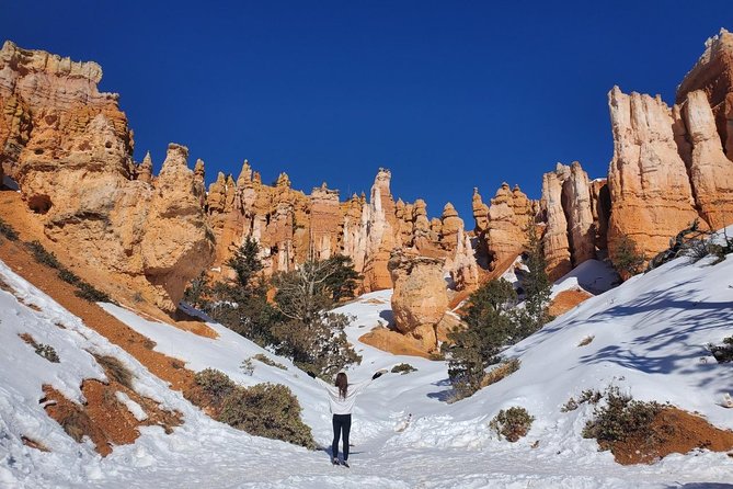 2 Day Grand Canyon, Bryce, Zion, Horseshoe Bend, Antelope Tour - Transportation and timing: the real test is the drive