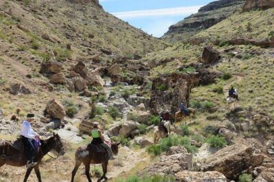 2-Hour Horseback Riding through Red Rock Canyon - The Stable Lesson: How You Get Matched to the Right Horse