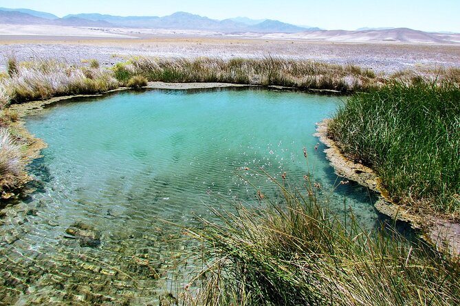4-Hour Private Hidden Hot Springs Tour near Death Valley - Timing, weather, and what to do when the sky changes its mind