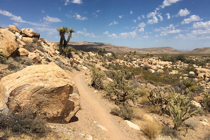 5 Hour Las Vegas Off-Road: Self Drive Jeep Mojave Adventure - Timing: How 5–6 Hours Actually Plays Out