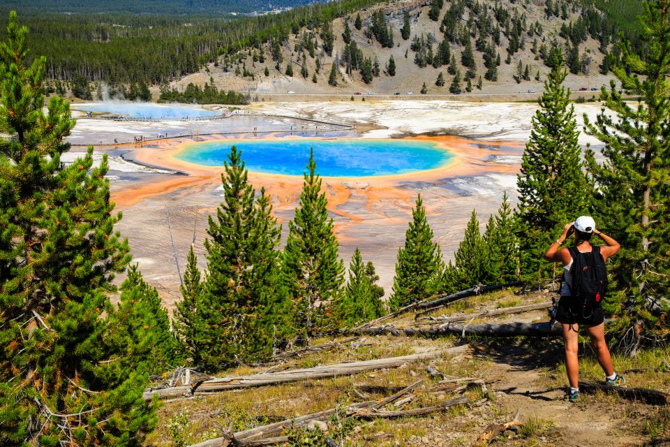 7-Day Yellowstone National Park Rocky Mountain Explorer - Day 3: Grand Teton Inspiration Point and Jenny Lake wildlife chances