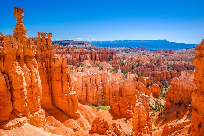 7-Day: Zion, Bryce, Monument Valley, Arches and Grand Canyon Tour - Arches and Canyonlands: Delicate Arch plus breathing room to repeat favorites