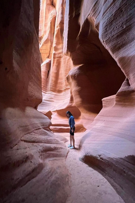 Antelope Canyon and Horseshoe Bend Vip small group tour - Key Highlights You’ll Actually Feel