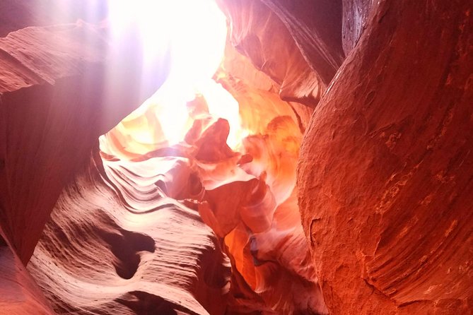 Antelope Canyon, Horseshoe Bend and Lake Powell Tour from Las Vegas - Horseshoe Bend: the 270-degree wow moment at river level