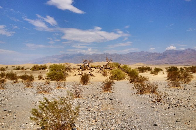 Arizona Ghost Towns and Wild-West Day Trip from Las Vegas - Stop 5: El Dorado and the Techatticup Mine connection