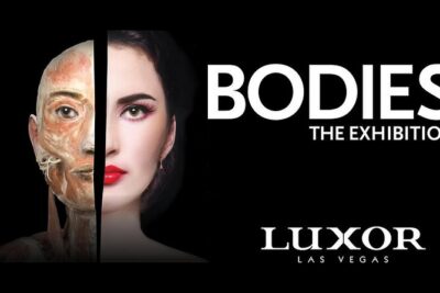 Bodies The Exhibition at the Luxor Hotel and Casino - Stop 1: Arriving at Luxor and Getting In Smoothly