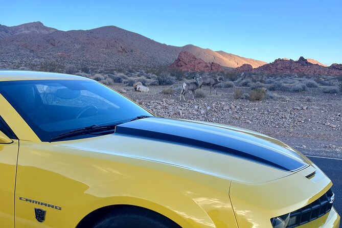 Bumblebee Camaro Tour: Transformers Movie Locations - Why this Bumblebee Camaro tour feels different than a normal day trip