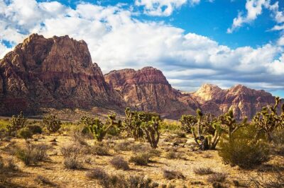 California Desert, Red Rock Views and Seven Magic Mountains - Pickup and timing: where your day can feel smooth or tight