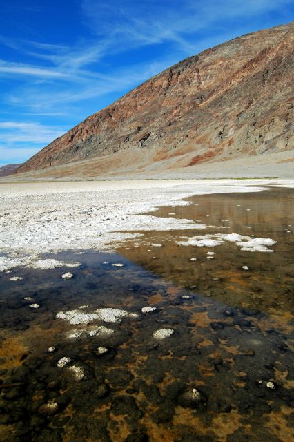 Death Valley Day-Tour from Las Vegas - Guides, Group Size, and Why This Tour Can Feel Personal