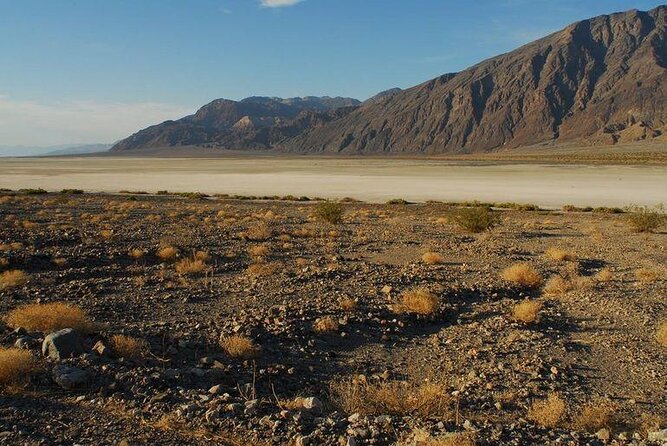 Death Valley Explorer Tour by Tour Trekker from Las Vegas - Your Tour Trekker ride: comfort, seating, and a no-storage reality