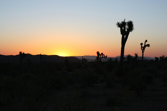 Death Valley Small Group Day Tour with Sunset and Stargazing - Furnace Creek Visitor Center: start with the why, then hit the wow