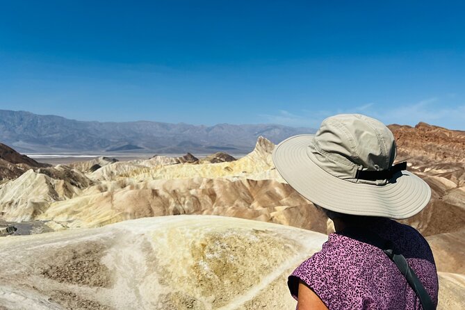 Death Valley Small Group Luxury SUV Day Tour - Mesquite Flat Sand Dunes: sand patterns plus desert plants