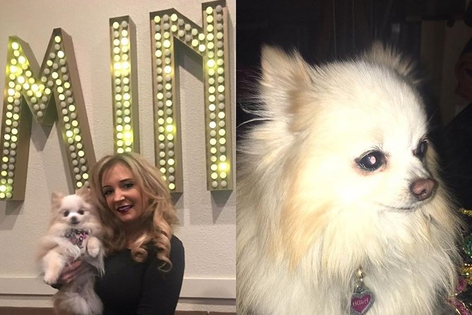Dimmare's Martinis and Magic® Ticket: Dinner,cocktails & Show - Inside the Showroom at the LODGE: Location and Why It Matters