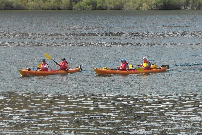 Emerald Cave Kayak Trip from Willow Beach near Las Vegas - Willow Beach launch: simple prep, real water, and a smooth start
