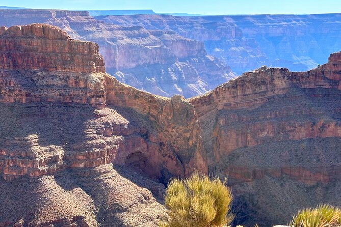French Tour of the Skywalk Grand Canyon and Hoover Dam - Joshua Tree Forest: a free 20-minute reset before canyon time