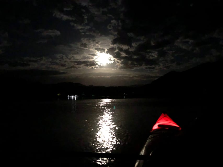 From Las Vegas: Black Canyon Twilight Kayak Tour - Wildlife and flora spotting: what to look for (and what to expect realistically)
