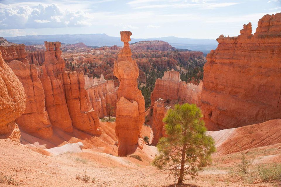 From Las Vegas: Bryce Canyon and Zion Park Tour with Lunch - Should You Book This Bryce Canyon and Zion Tour?