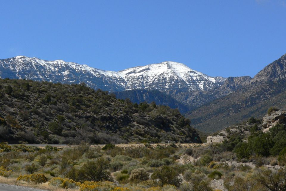 From Las Vegas: Day Trip to Mount Charleston Resort - Should You Book This $109 Day Trip?