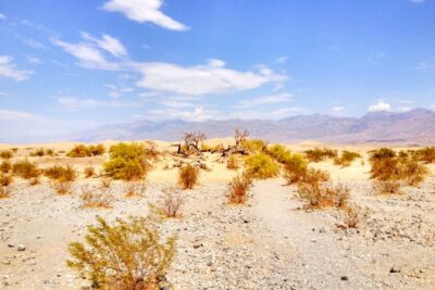 From Las Vegas: Ghost Town Wild West Adventures Day Trip - Chloride, Arizona: a ghost town that still has people