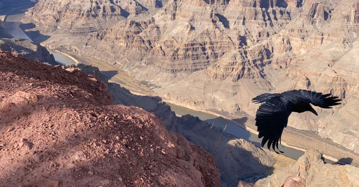 From Las Vegas: Grand Canyon & Hoover Dam Private Photo Tour - Joshua Tree Forest and Hemenway Park: the quiet stops people remember
