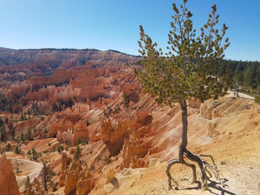 From Las Vegas: Zion and Bryce Canyon Guided Day Tour - Choosing Your Bryce Route: Rim Trail Lookouts or Queen’s Garden Descent