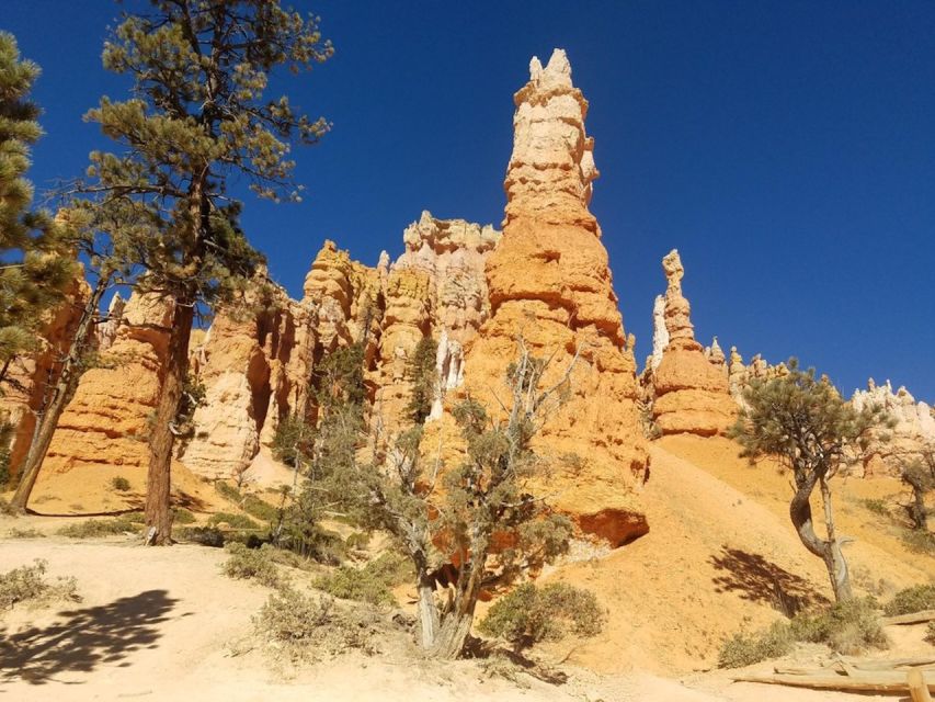 From Las Vegas: Zion and Bryce Canyon Guided Day Tour - Rainbow Point, Yovimpa Point, and a Custom Lunch Outside the Noise