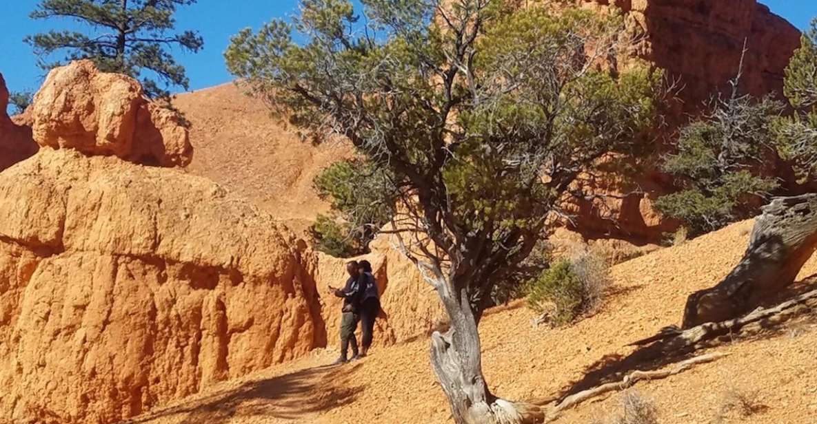 From Las Vegas: Zion and Bryce Canyon Guided Day Tour - Angel’s Landing Stops, Plus Narrows, Riverside, and Canyon Overlook