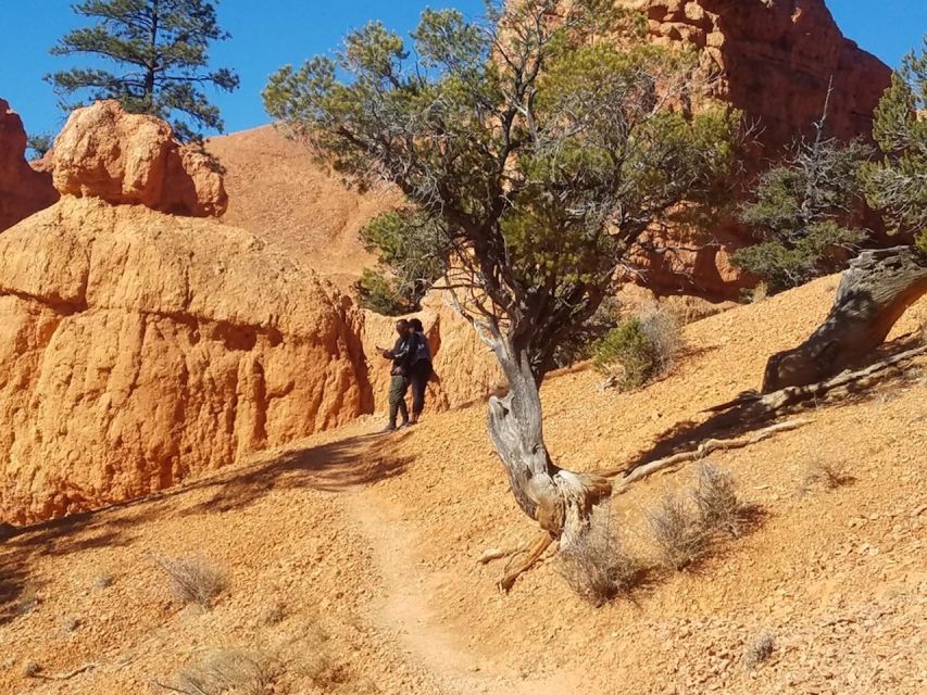 From Las Vegas: Zion and Bryce Canyon Guided Day Tour - Comfort on a 14-Hour Schedule: Group Size, Pace, and Photo Timing