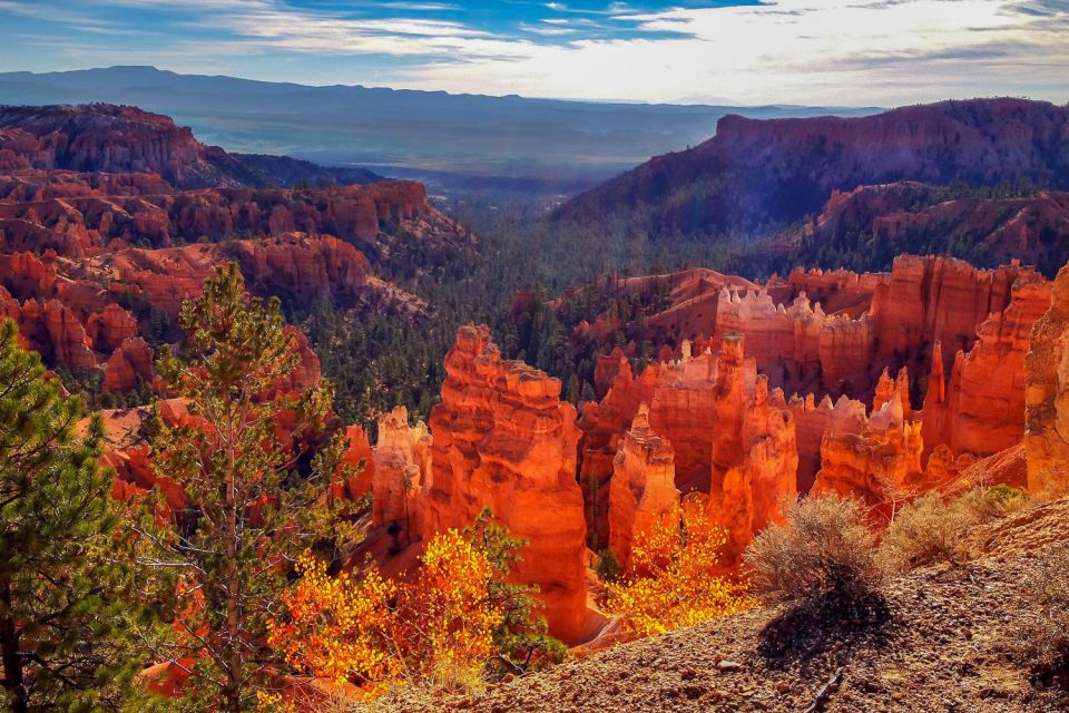 From Las Vegas: Zion and Bryce National Park Overnight Tour - Key things I’d prioritize before you book
