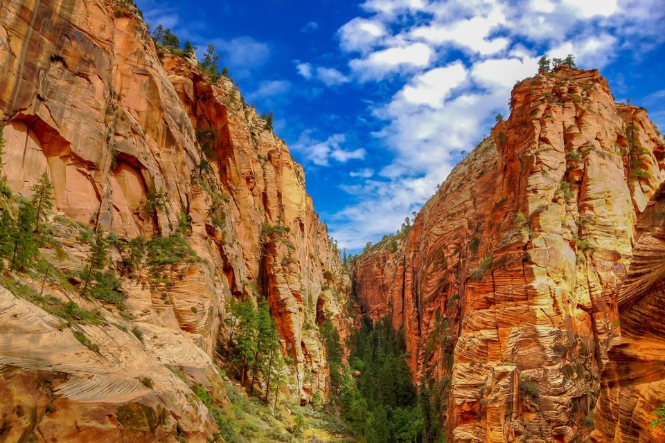 From Las Vegas: Zion and Bryce National Park Overnight Tour - Bryce Canyon hoodoos: rim views, then going down for real