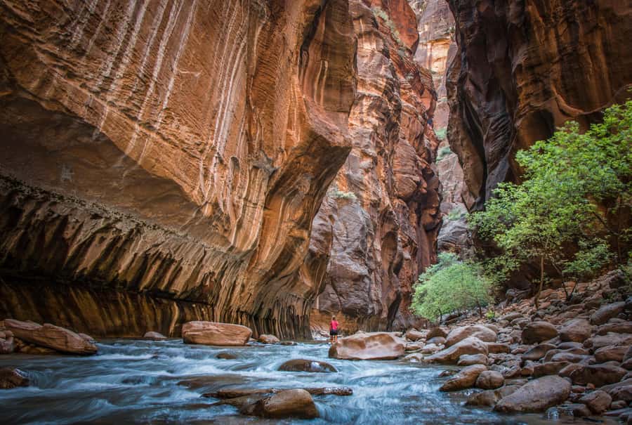 From Las Vegas: Zion National Park Day Trip - First stops: Hurricane break and the Carmel Tunnel photo moment
