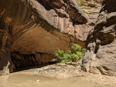 From Las Vegas: Zion National Park Small Group Adventure - Getting from Las Vegas: long day, good rhythm