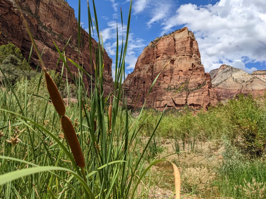 From Las Vegas: Zion National Park Small Group Adventure - The “drive-by greatness” side of Zion: short stops that help