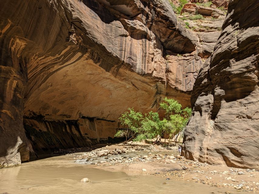 From Las Vegas: Zion National Park Small Group Adventure - Getting from Las Vegas: long day, good rhythm
