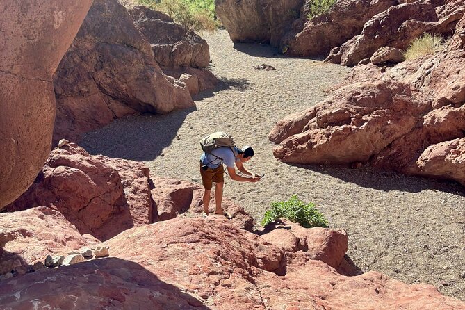 Full-Day Emerald Cave Kayak Tour: 3 Caves, Hidden Beach, Wildlife - Gear that makes it easy: Sit-on-top kayaks, life vests, and dry bags