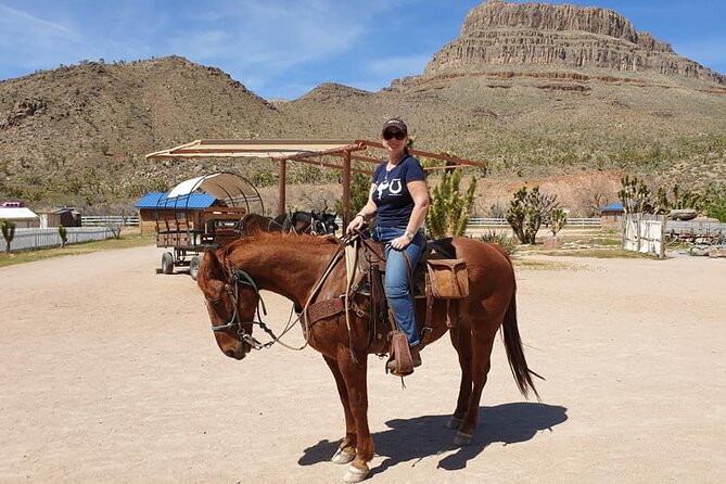Full Day Grand Canyon Trip with Horseback Ride From Las Vegas - Who this tour fits best (and who should look elsewhere)