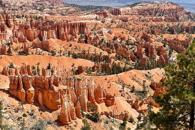 Full-Day Small Group Tour in Bryce Canyon - Rainbow Point loop: short, easy, and popular for a reason