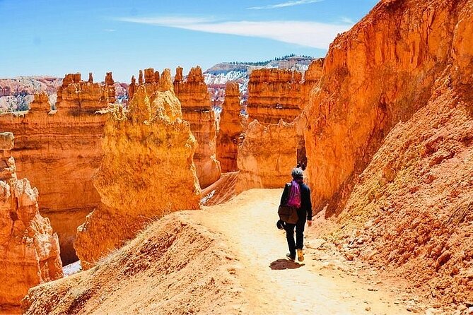 Full-Day Small Group Tour in Bryce Canyon - Who this Bryce Canyon day trip fits best