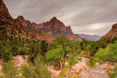 Full-Day Zion National Park Tour from Las Vegas - Comfort on a Long Ride: Climate Control, Seatbelts, and “Plan for Tight Spaces”