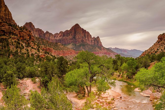 Full-Day Zion National Park Tour from Las Vegas - Comfort on a Long Ride: Climate Control, Seatbelts, and “Plan for Tight Spaces”