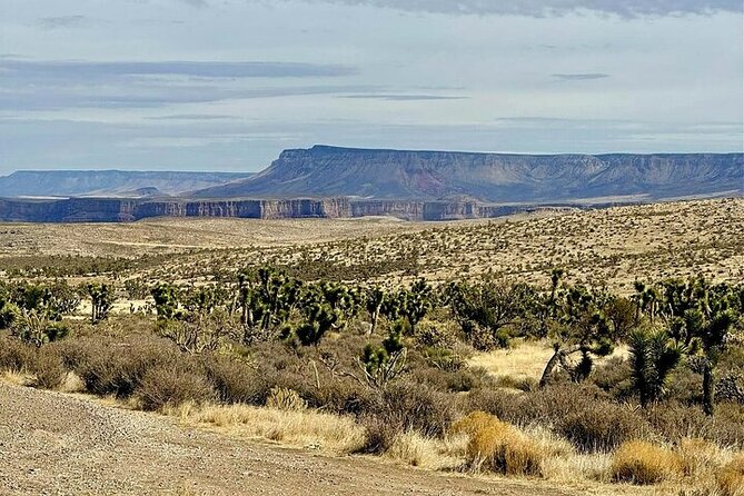 Grand Canyon Helicopter and Ranch Adventure by Luxury Vehicle - Price and value: is $350 a fair deal?