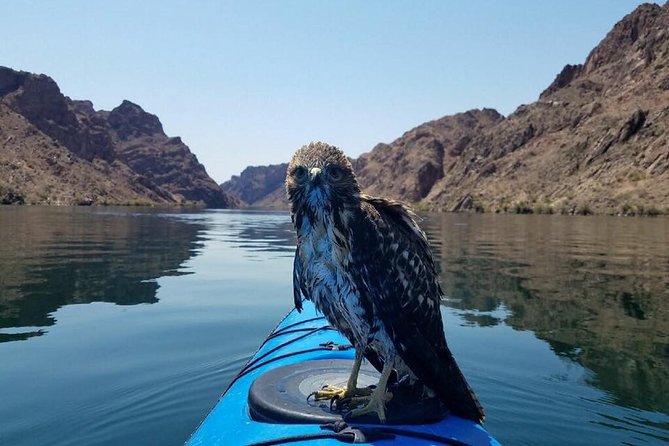 Grand Canyon Helicopter Flight with Emerald Cave Kayak Tour - Price and Value: Is $699 Worth a Helicopter Day?