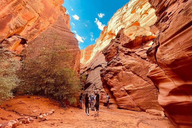 Grand Canyon South Rim, Antelope Canyon and Horseshoe Bend Tour - Hurricane and Seligman: Stretch Legs on the Way Back