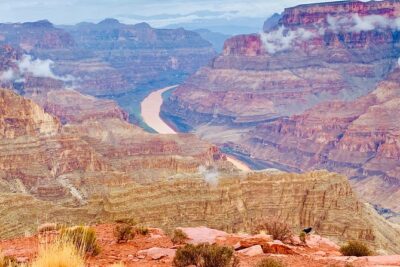 Grand Canyon Tour in Spanish with Skywalk and Hoover Dam included - Mojave Desert drive and Joshua Tree sightings on the way