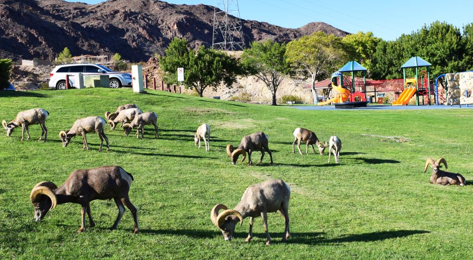 Grand Canyon West & Hoover Dam Combo Tour - Before You Go: Small Details That Save Hassle
