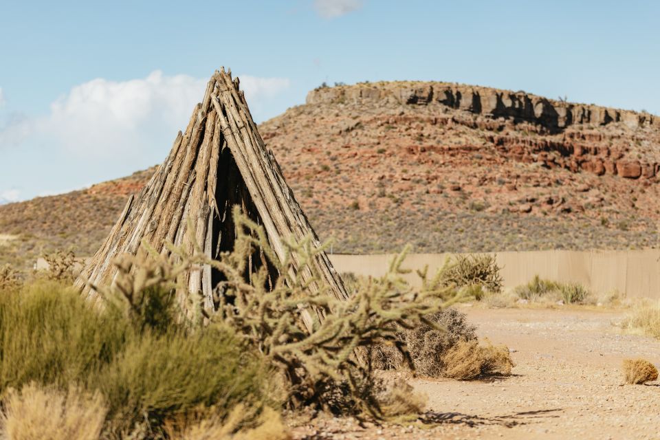 Grand Canyon West Rim VIP Luxury Small Group Tour - The desert drive: Joshua Tree Forest and Mojave scenery