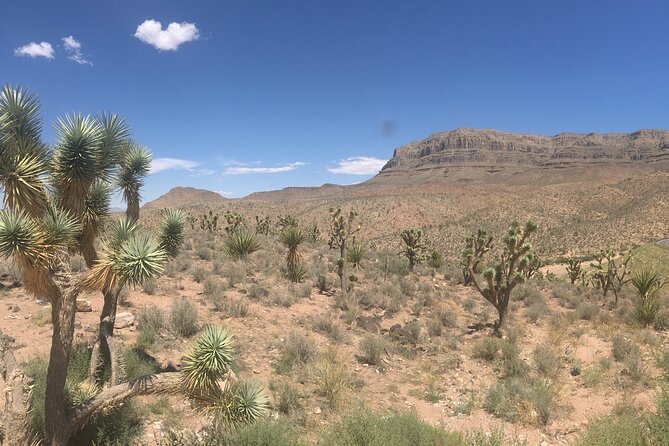 Grand Canyon Western Ranch Overnight Stay by Helicopter & Ground - Night at the ranch: where the calm is actually the feature