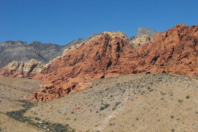 Guided Mountain Bike Tour of Mustang Trail in Red Rock Canyon - Mustang Trail: what you’re really riding (and how it feels)