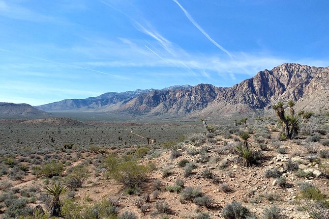 Guided Mountain Bike Tour of Mustang Trail in Red Rock Canyon - What to expect on the trail: flowy singletrack with desert attitude